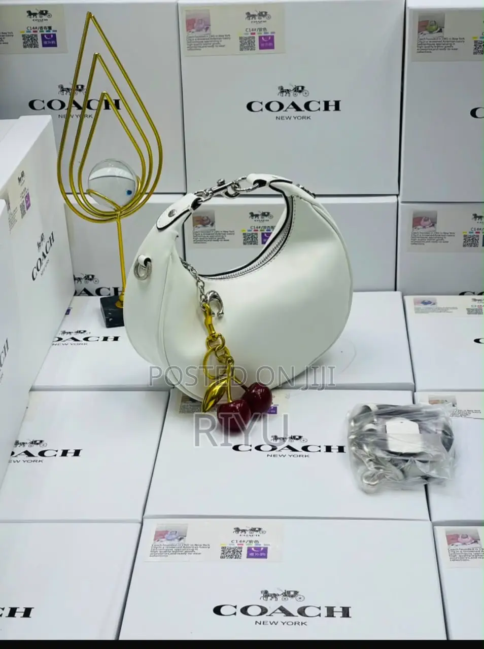 COACH Chic Bag