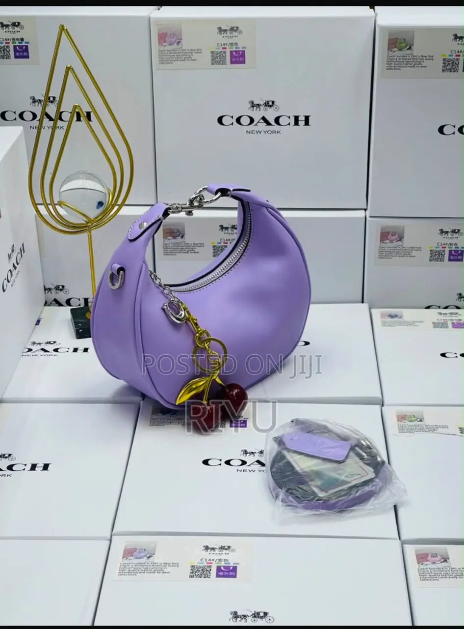 COACH Chic Bag