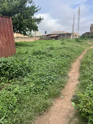 One and Half Plot