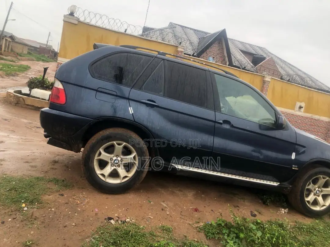 BMW X5 2005 Blue