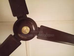 Ceiling Fan