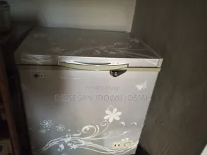 LG Freezer