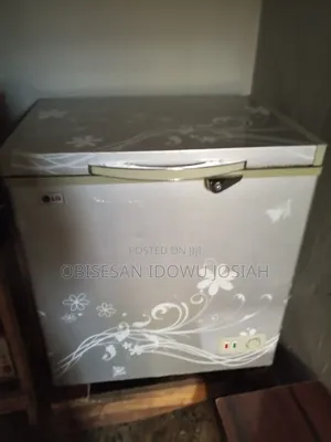 LG Freezer