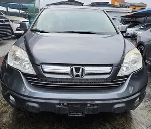 Honda CR-V 2010 Gray