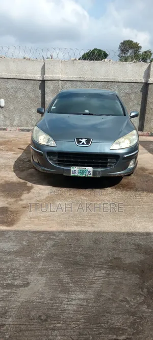 Peugeot 407 2008 Gray