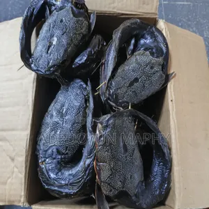 Oven Dried, Sand Free Catfish,export Standard Ready for Sale