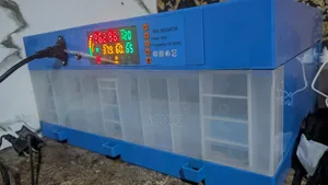 Incubator for Hatching Eggs