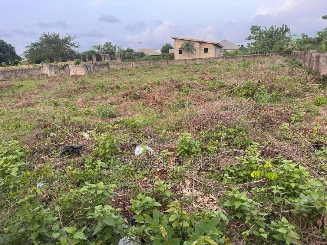 2 Plot of Land