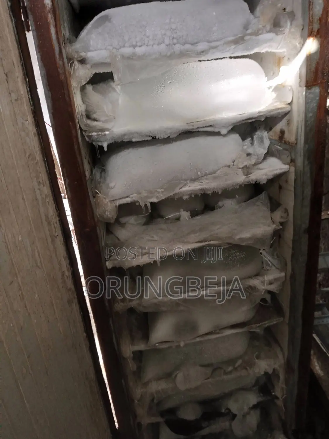Selenze Ice Block