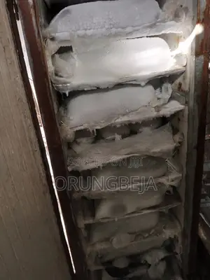 Selenze Ice Block