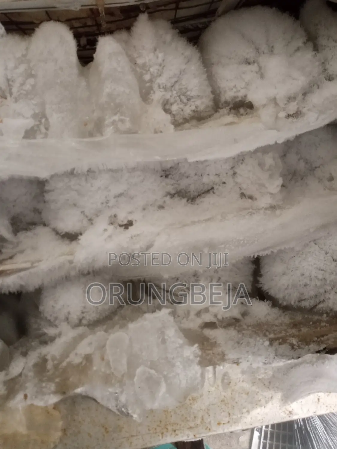 Selenze Ice Block