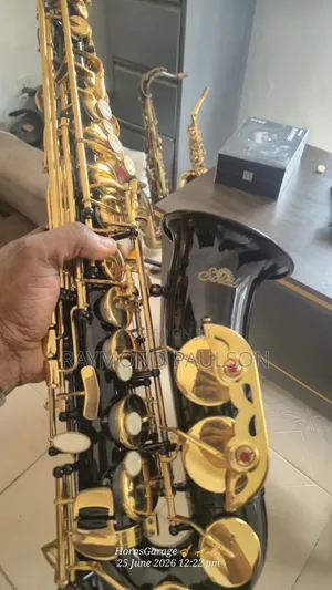 Soleil Alto Saxophone