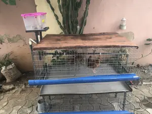 Broiler Cage