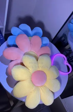 Daisy Plush Pillows