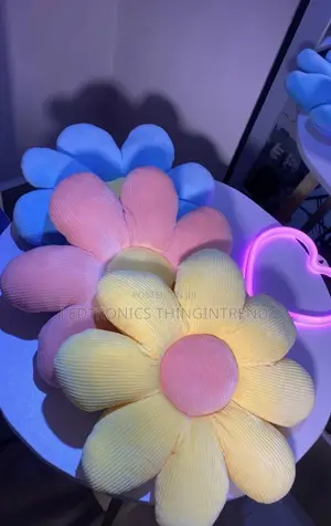 Daisy Plush Pillows