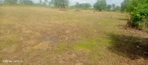 Commercial Farming(Farm) Land for Sale