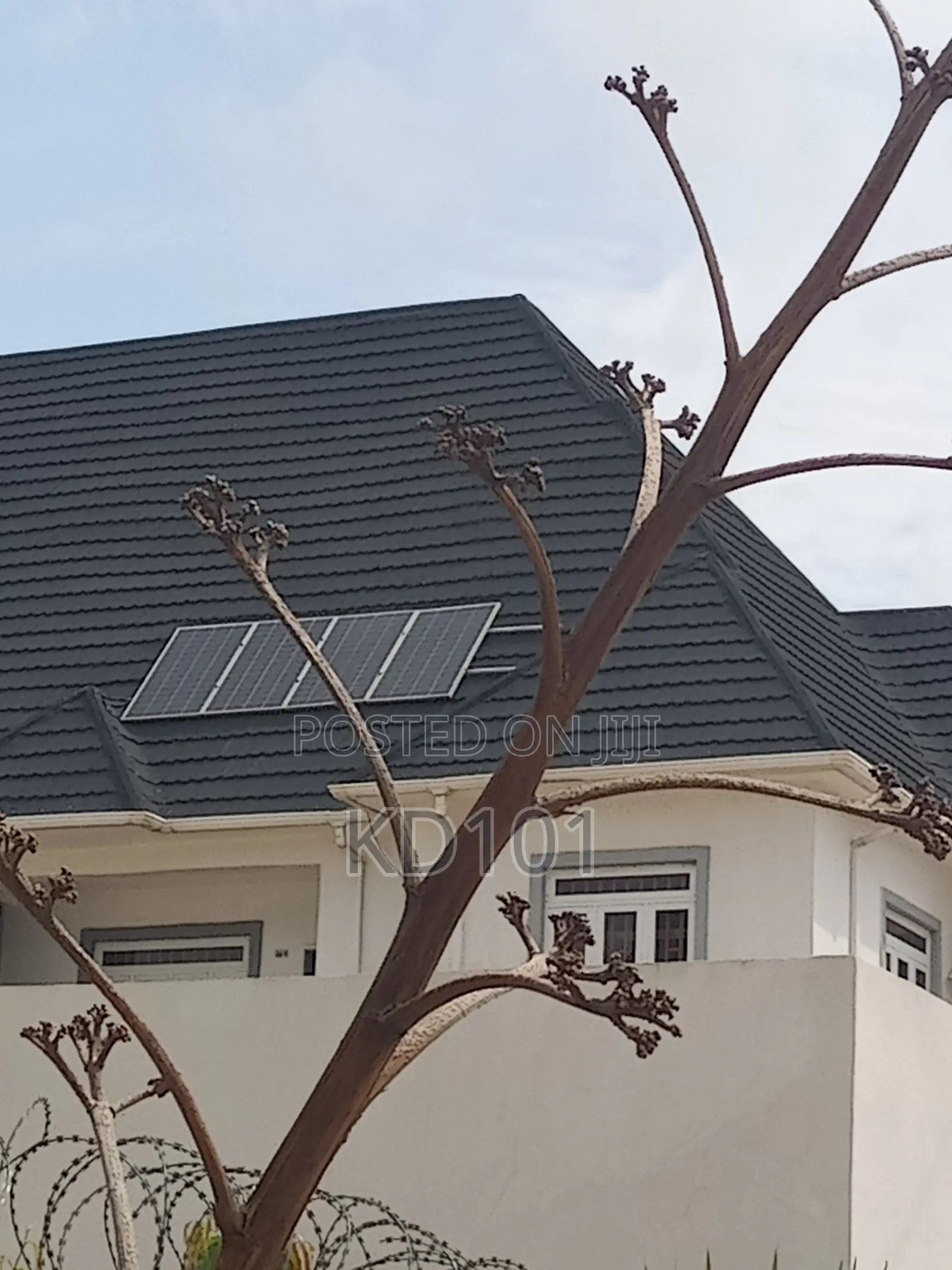 300W Africell Solar Panel