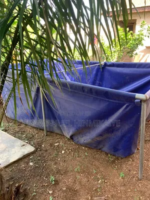 Two Set of Fishpond