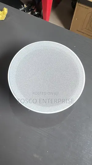Eagle Single Passive Pop Speaker