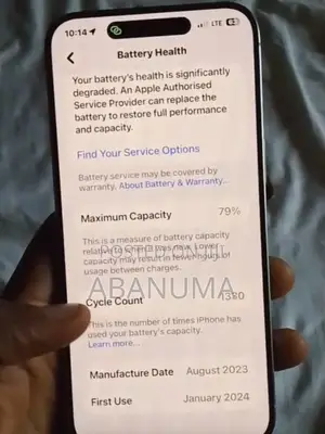 Apple iPhone 15 Pro Max 256 GB Gray