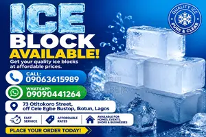 Selenze Ice Block