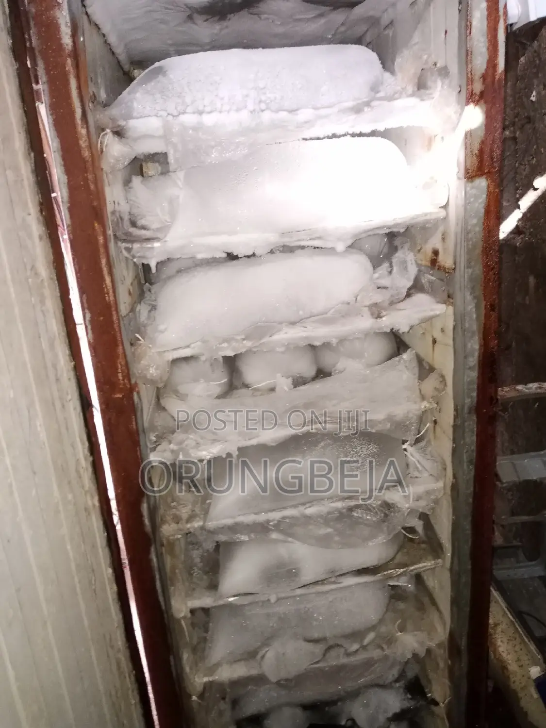 Selenze Ice Block