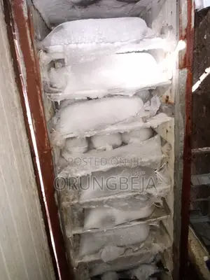 Selenze Ice Block