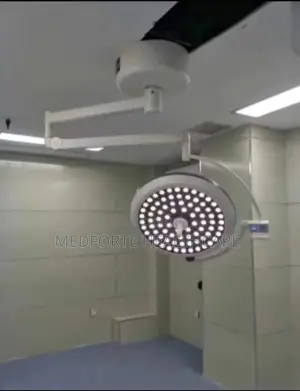 Ceiling Mounted Theatre Lamp - Single Arm