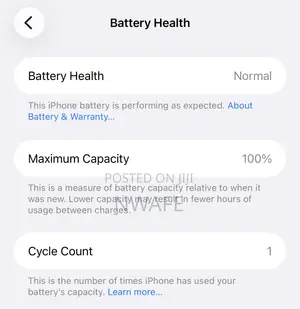 Apple iPhone 15 Pro Max 256 GB Silver