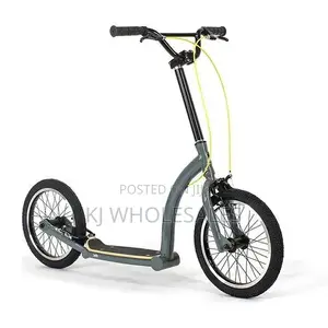 Adult Manual Scooter – Stylish Convenient Personal Ride