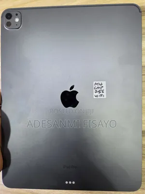 Apple iPad Pro 13 (2024) 256 GB Gray