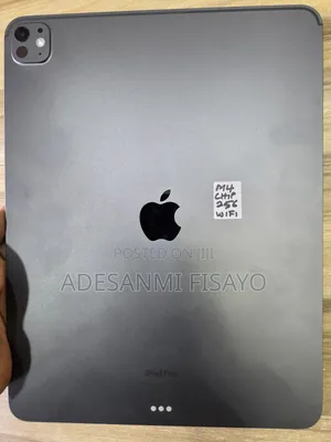 Apple iPad Pro 13 (2024) 256 GB Gray
