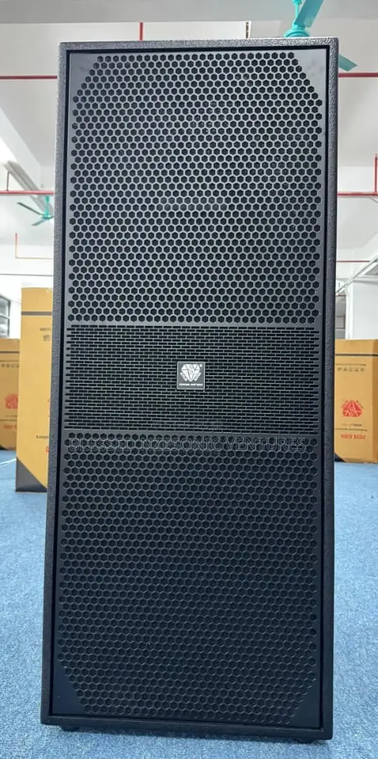 Professional Double Speakers