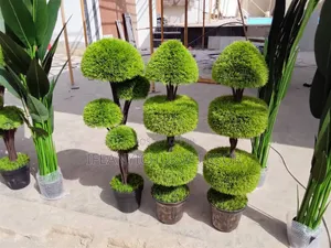 Flowers for Your Garden
