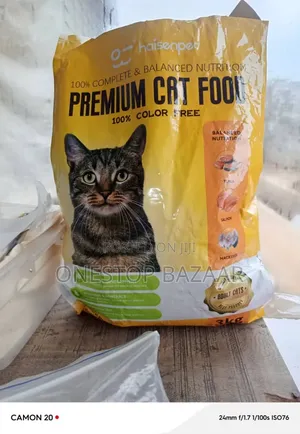Cat Food Cat and More