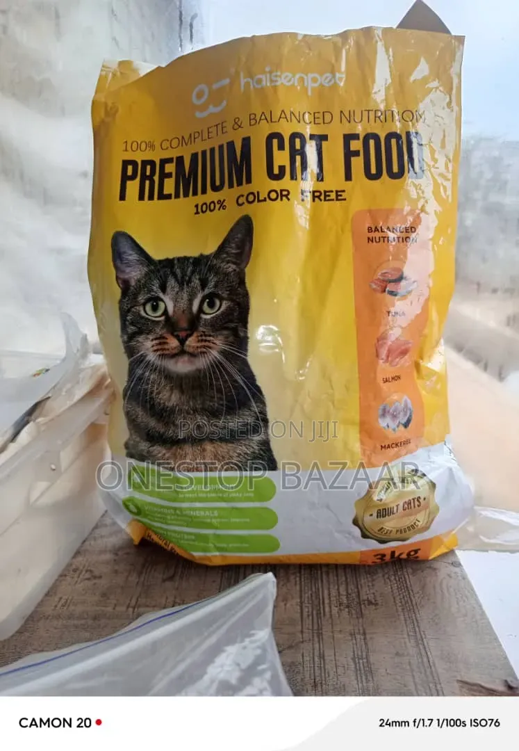 Cat Food Cat and More