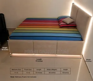 5 X 6 Ft Upholstered Storage Bed Frame | Modern Bed