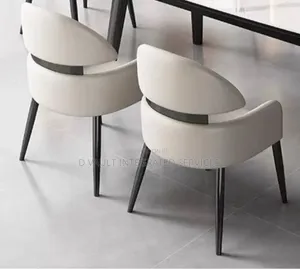 Dining Chair / Modern Restaurant Chair.