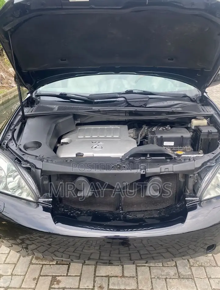 Lexus RX 2009 Black