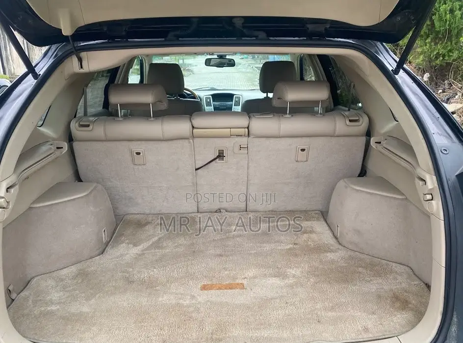 Lexus RX 2009 Black