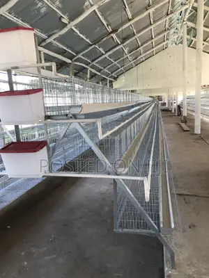 Fabricated Battery Cages for Layers