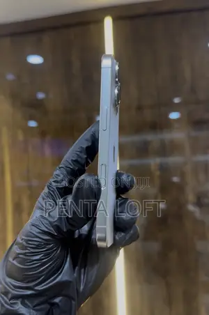 Apple iPhone 16 Pro 256 GB Silver