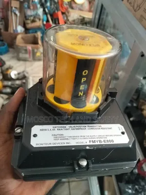 Moniteur Devices Watchman Valve Position Transmitter FMYB-E80