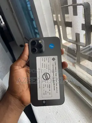 Apple iPhone 12 Pro Max 256 GB Gray