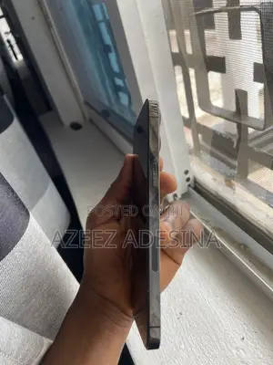 Apple iPhone 12 Pro Max 256 GB Gray