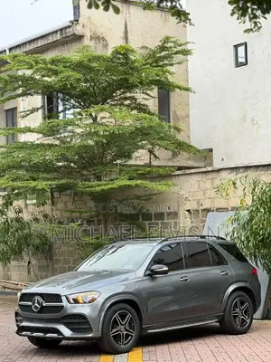 Mercedes-Benz GLE-Class GLE 350 4MATIC 2020 Gray