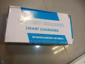 Hoverboard Charger