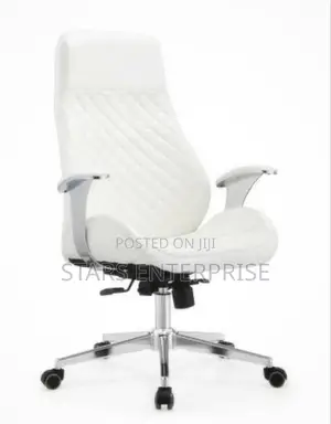 Office Chair / Adjustable Chair