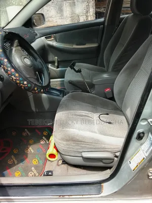 Bolt Driver Services
