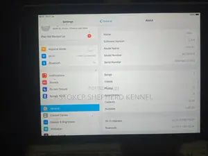Apple iPad Air 16 GB Silver